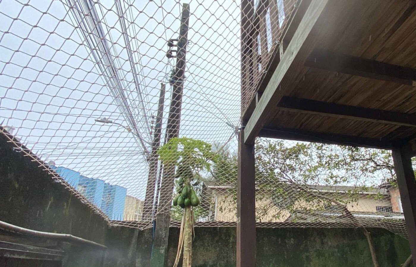 Área externa com estrutura de madeira e fechamento completo com rede de proteção contra fugas de animais.